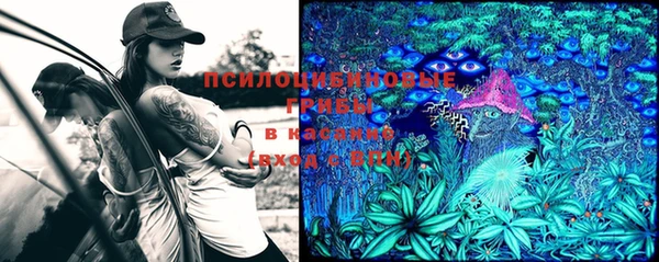 амф Чегем