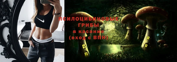 амф Чегем