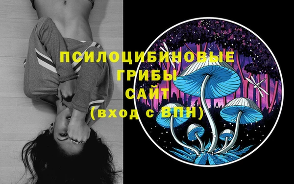 мдма Чердынь