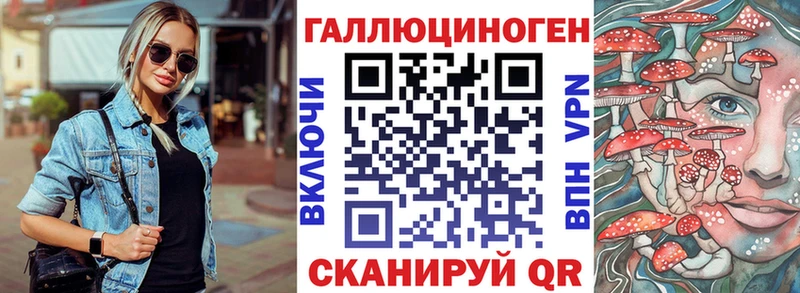 Галлюциногенные грибы Psilocybe  Чкаловск 