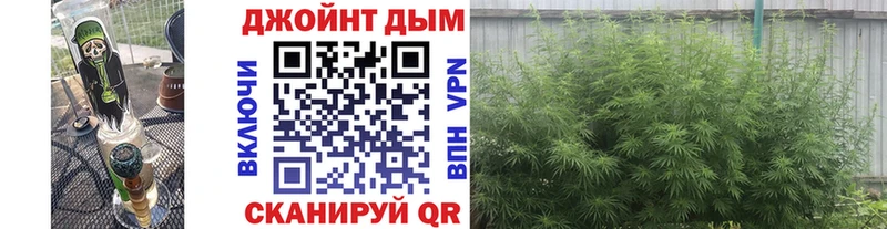 магазин  наркотиков  OMG сайт  Шишки марихуана AK-47  Чкаловск 